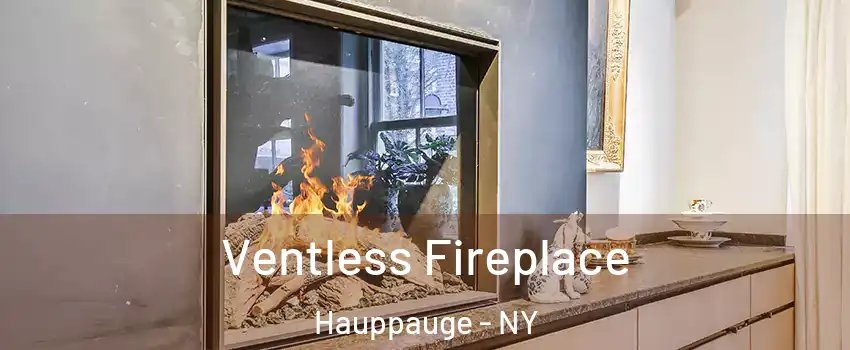  Ventless Fireplace Hauppauge - NY